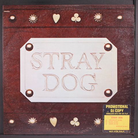STRAY DOG