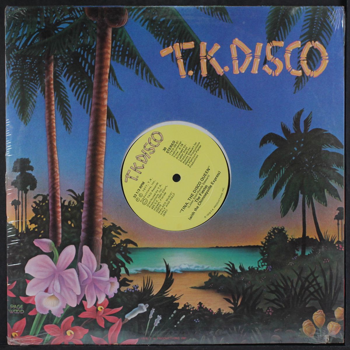 tina, the disco queen by FIESTAS