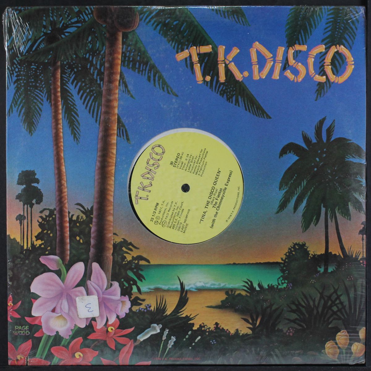 tina, the disco queen by FIESTAS