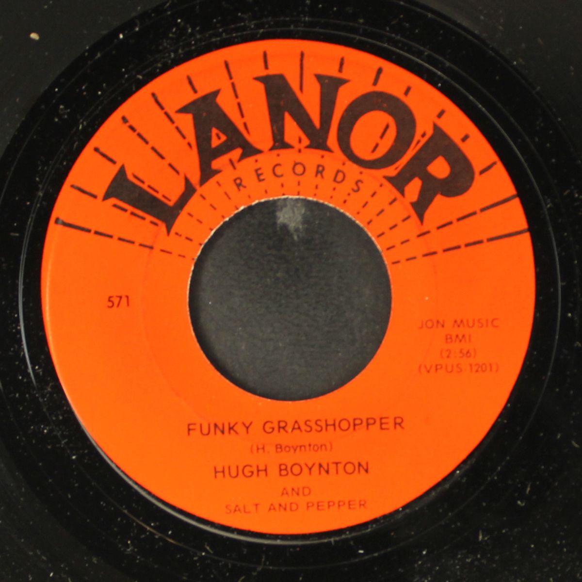 funky grasshopper / no more and no less by HUGH BOYNTON