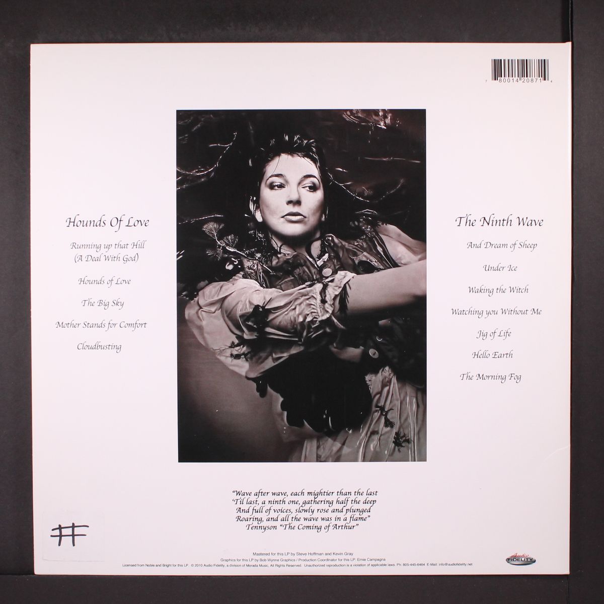 hounds of love by KATE BUSH