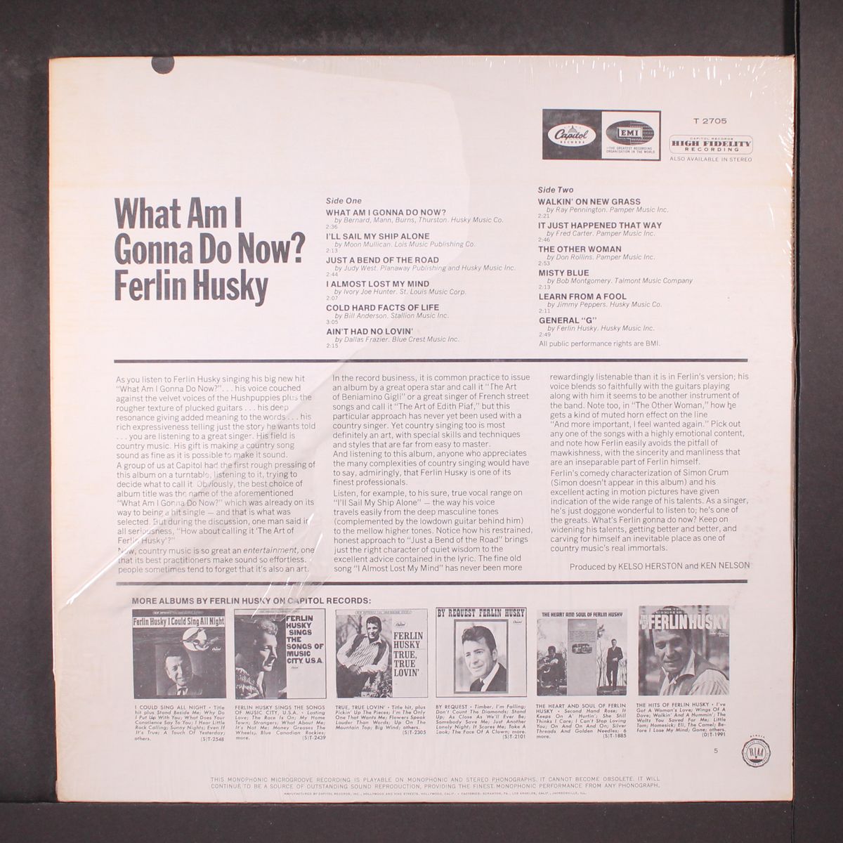 what am i gonna do now? by FERLIN HUSKY