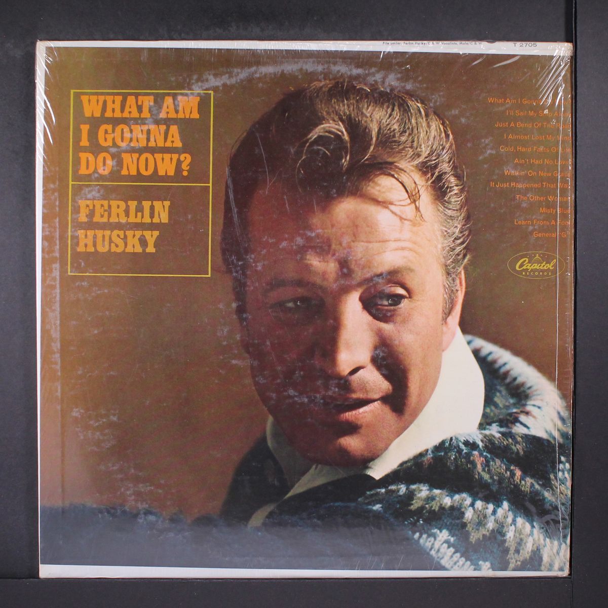 what am i gonna do now? by FERLIN HUSKY
