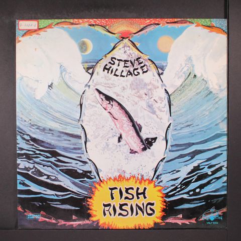 STEVE HILLAGE