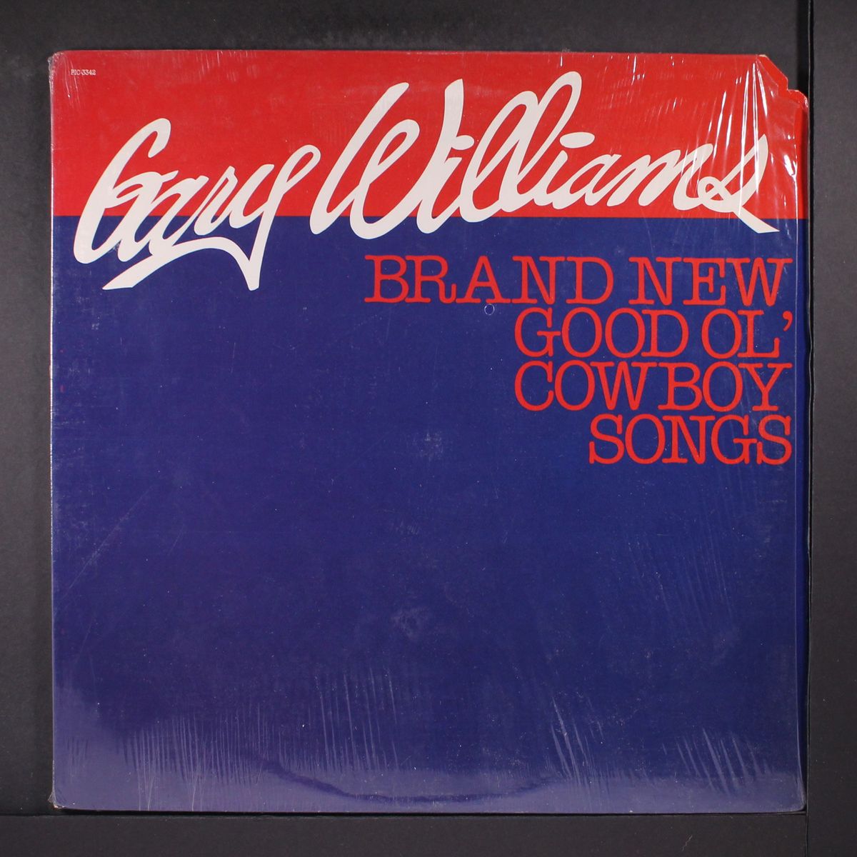 brand new good ol' cowboy songs by GARY WILLIAMS