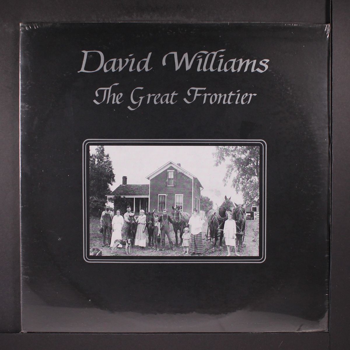 the great frontier by DAVID WILLIAMS