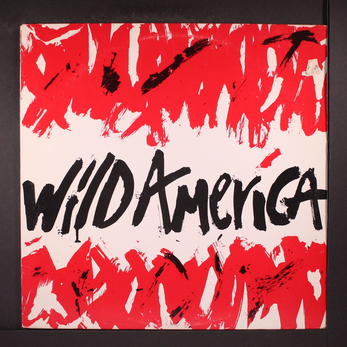 wild america by WILD AMERICA