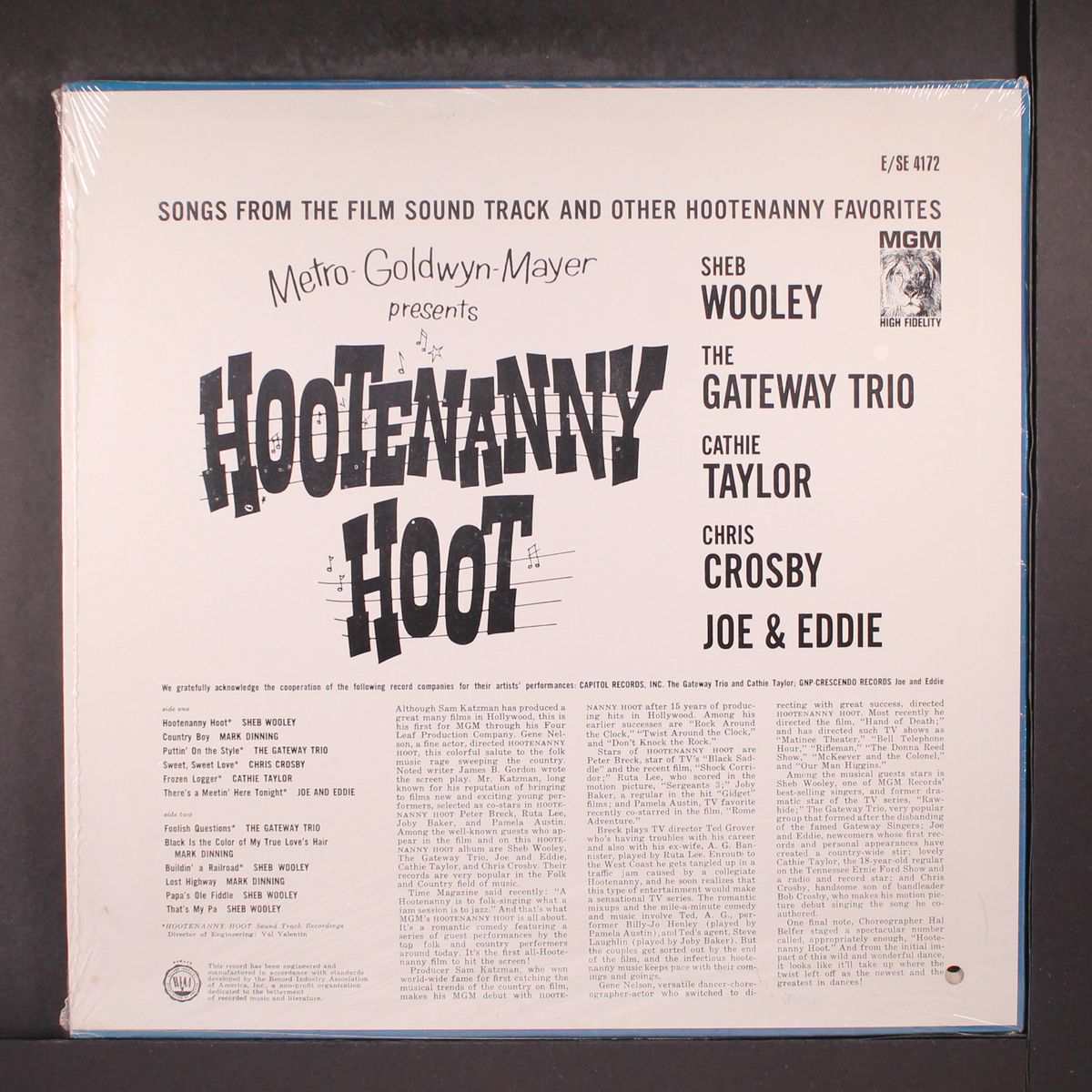 hootenanny hoot by SOUNDTRACK