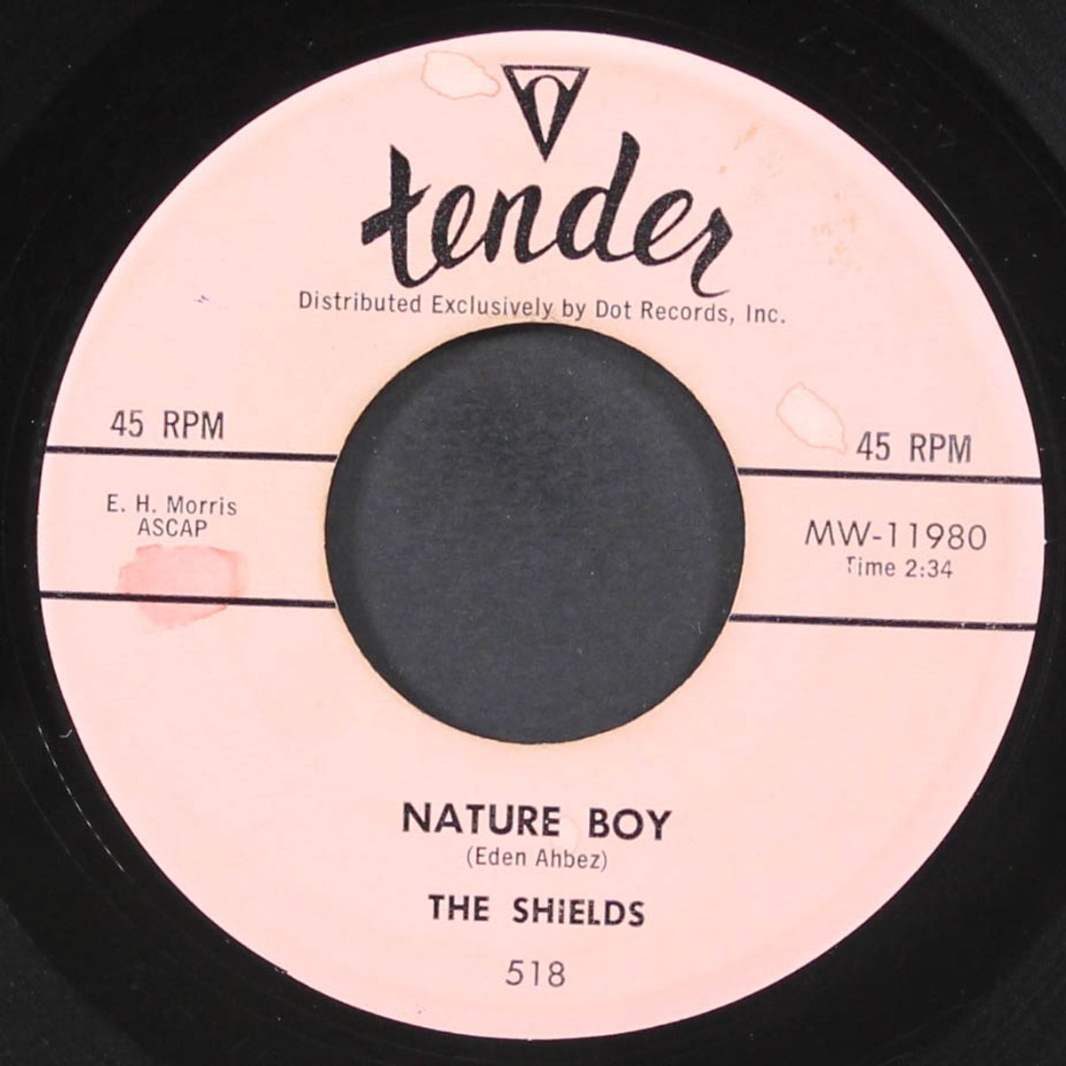 i'm sorry now / nature boy by SHIELDS