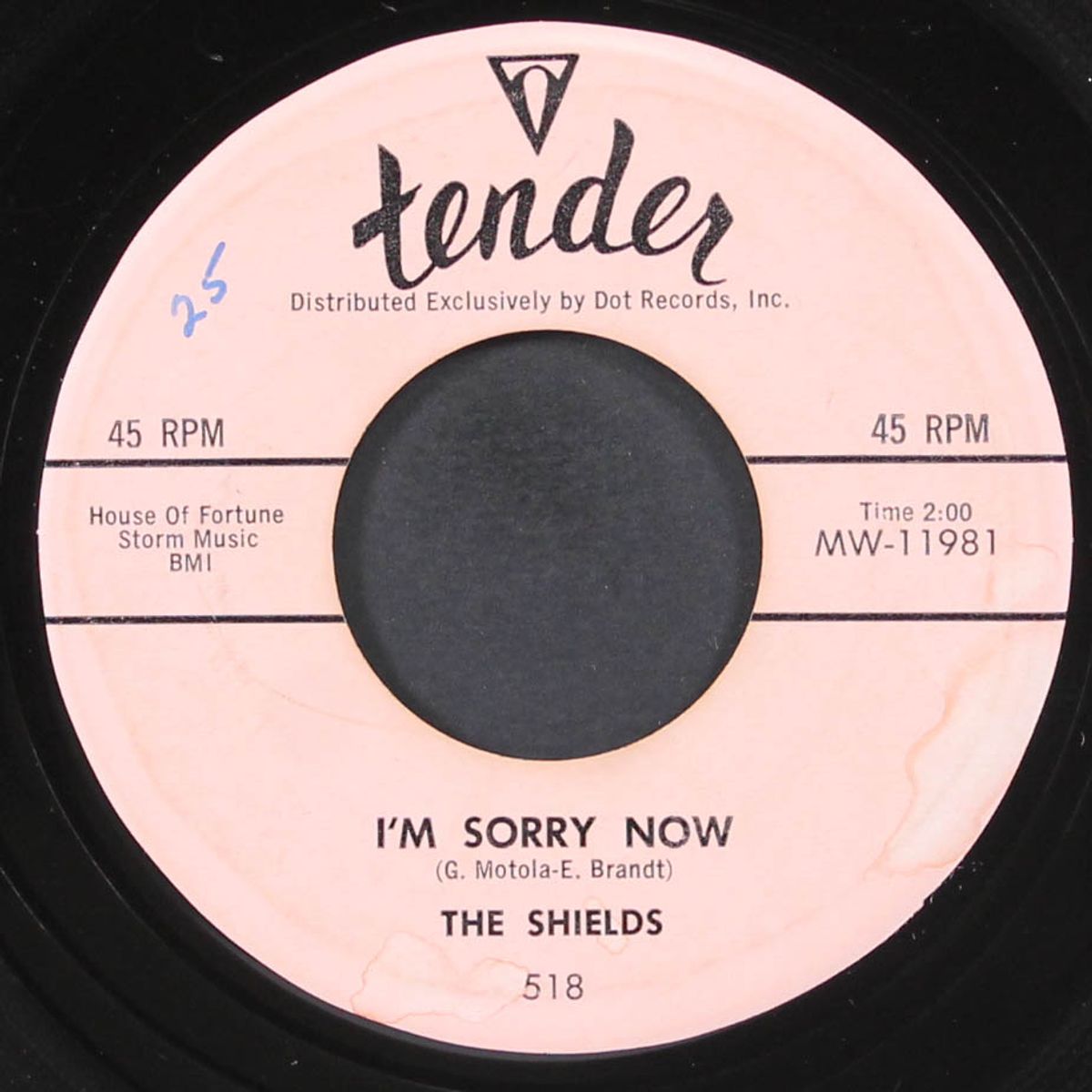 i'm sorry now / nature boy by SHIELDS