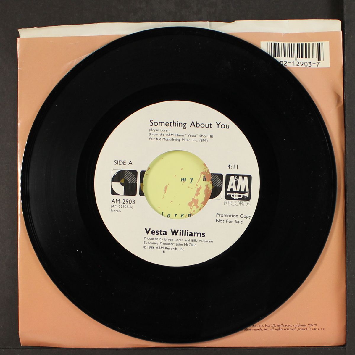 something about you by VESTA WILLIAMS