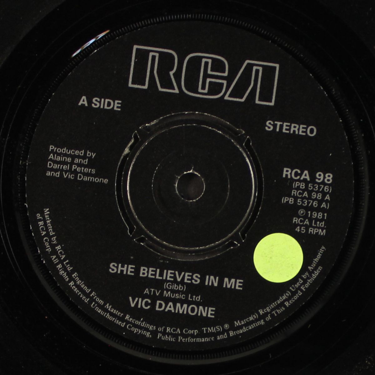 she believes in me / still by VIC DAMONE