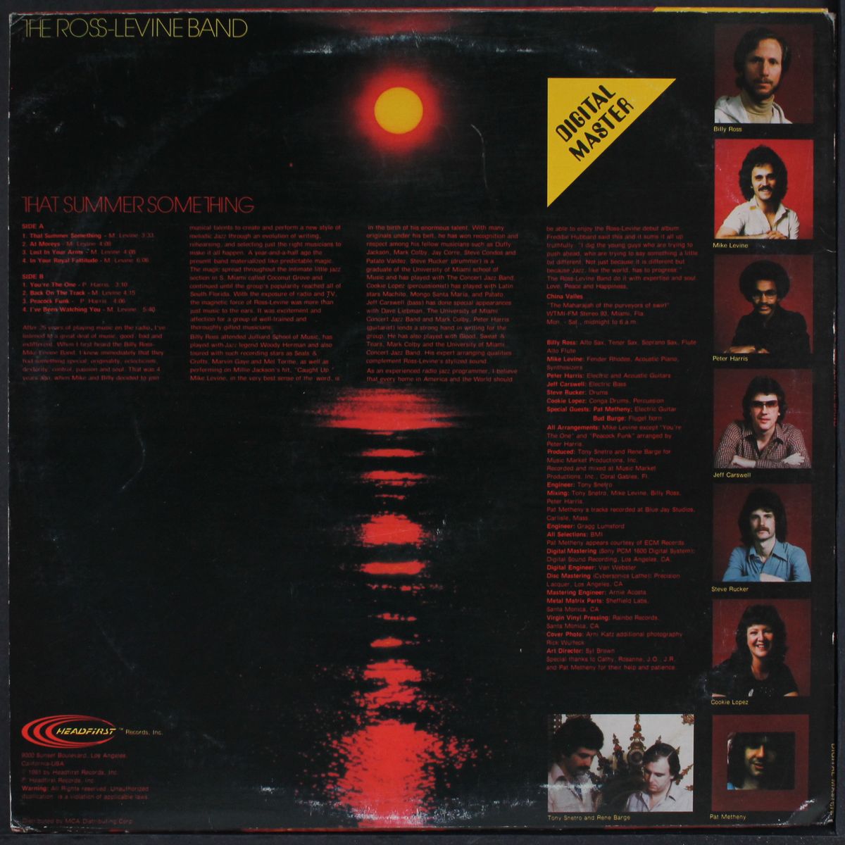 that summer something by ROSS-LEVINE BAND