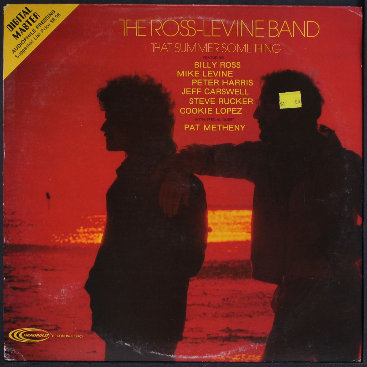 that summer something by ROSS-LEVINE BAND