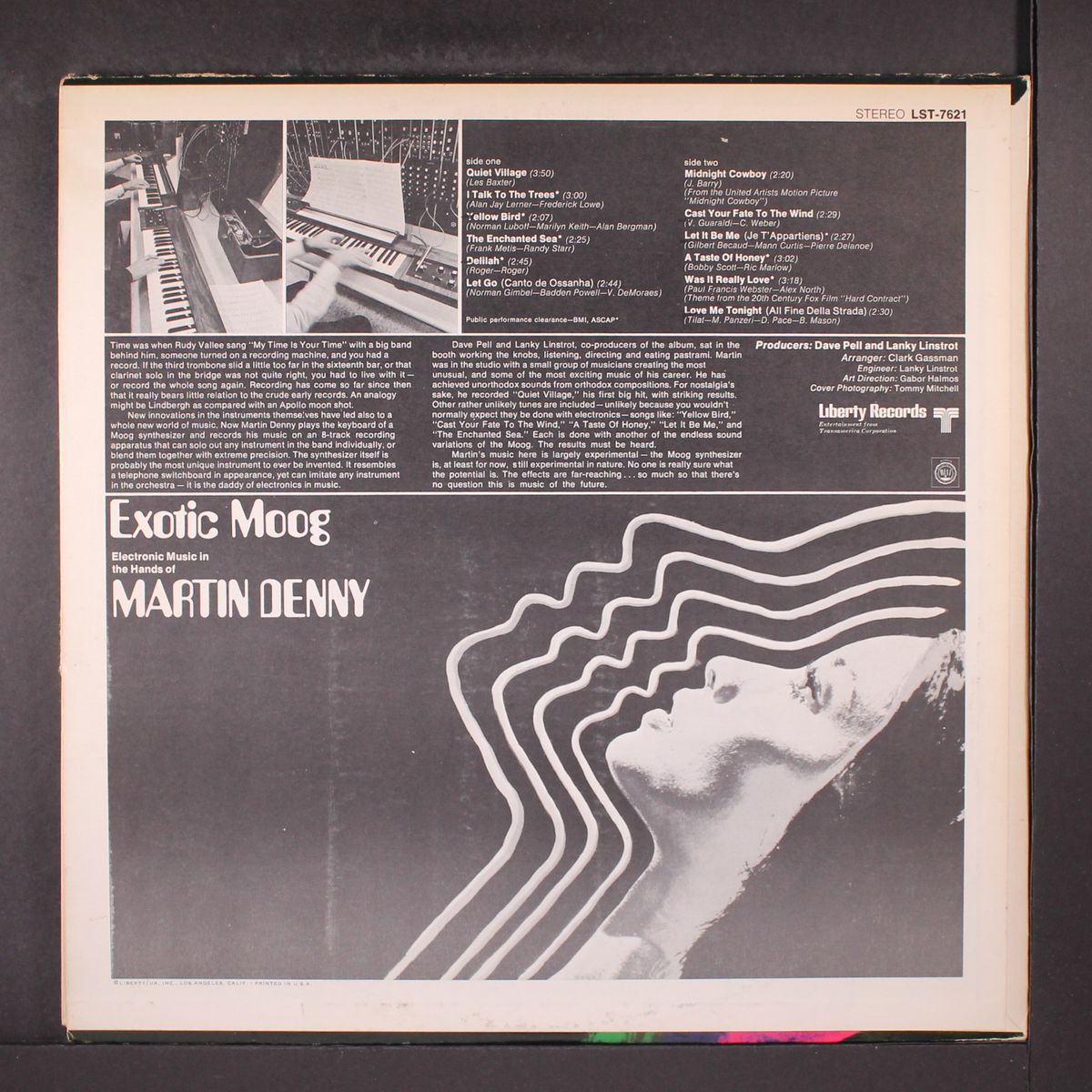 exotic moog by MARTIN DENNY
