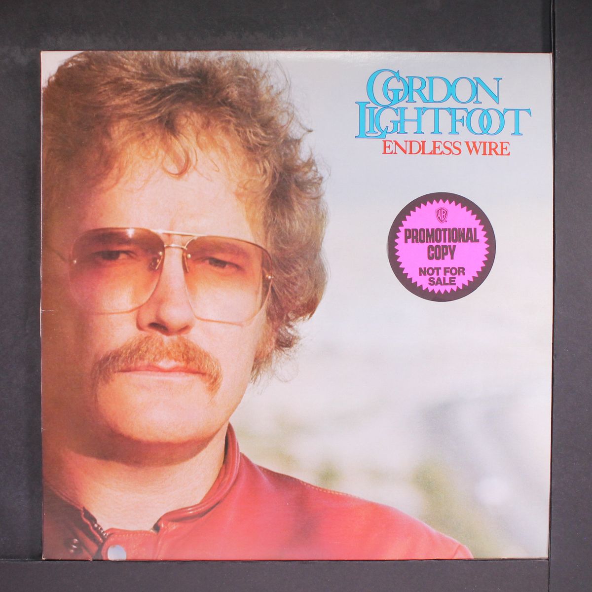 endless wire by GORDON LIGHTFOOT