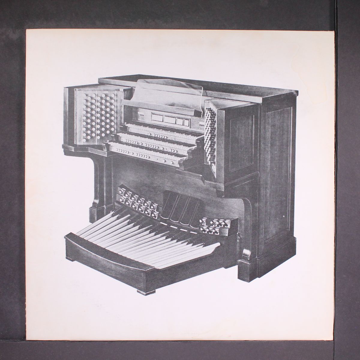 concert curios by CARLO CURLEY