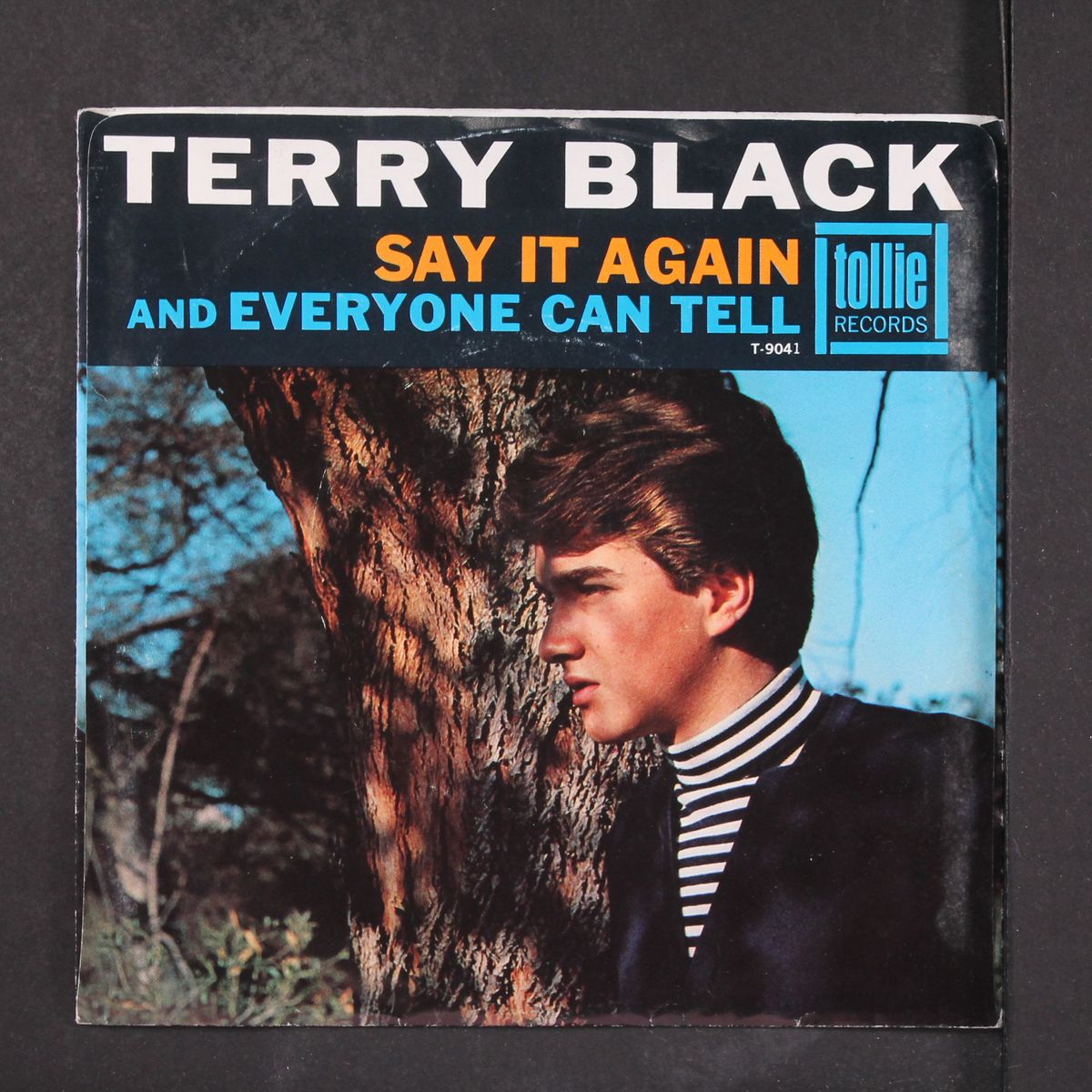 everyone can tell / say it again by TERRY BLACK