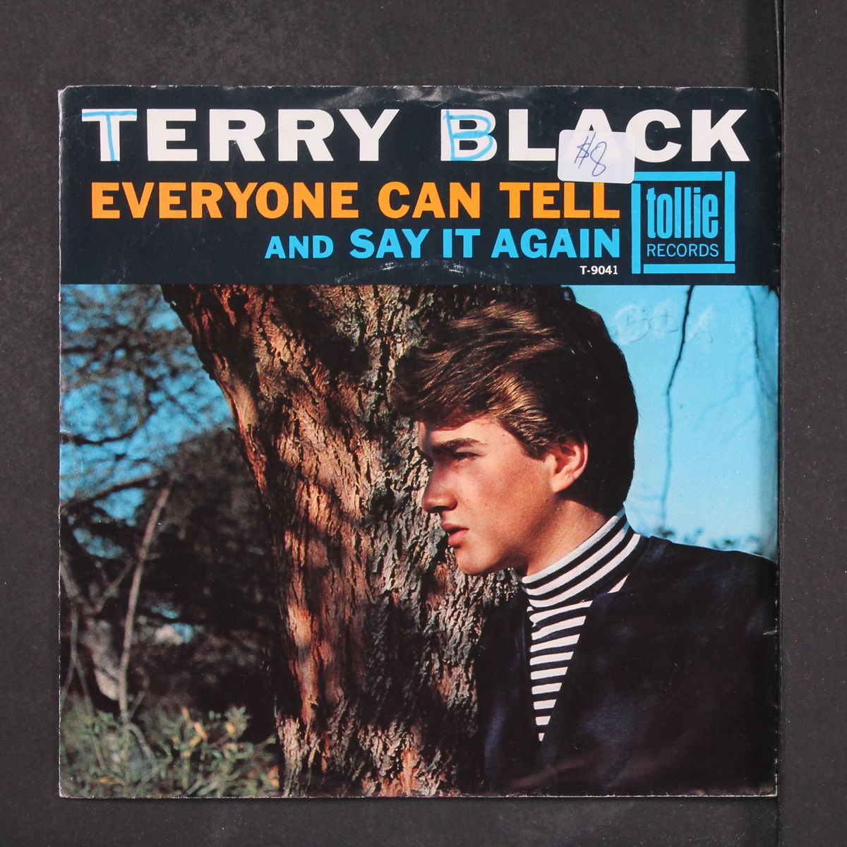 everyone can tell / say it again by TERRY BLACK