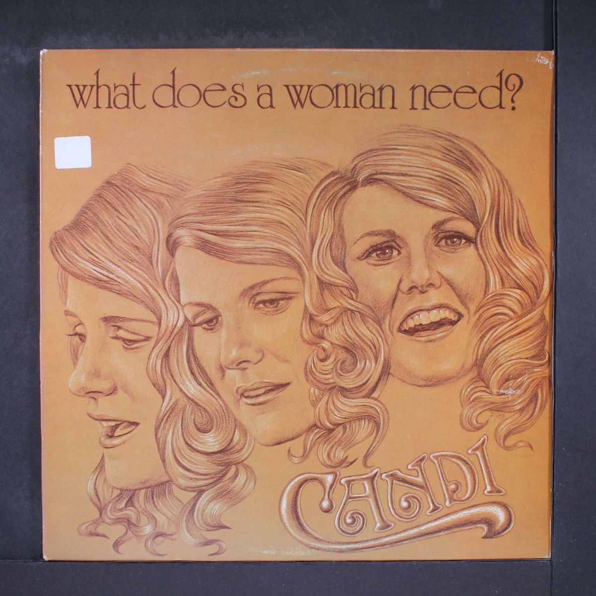 what does a woman need? by CANDI LOWE