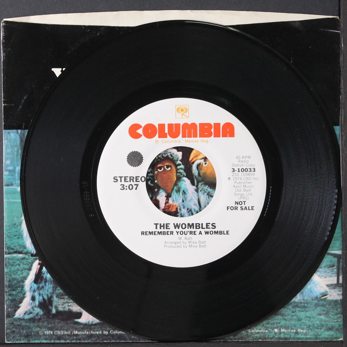 remember you're a womble / mono by WOMBLES
