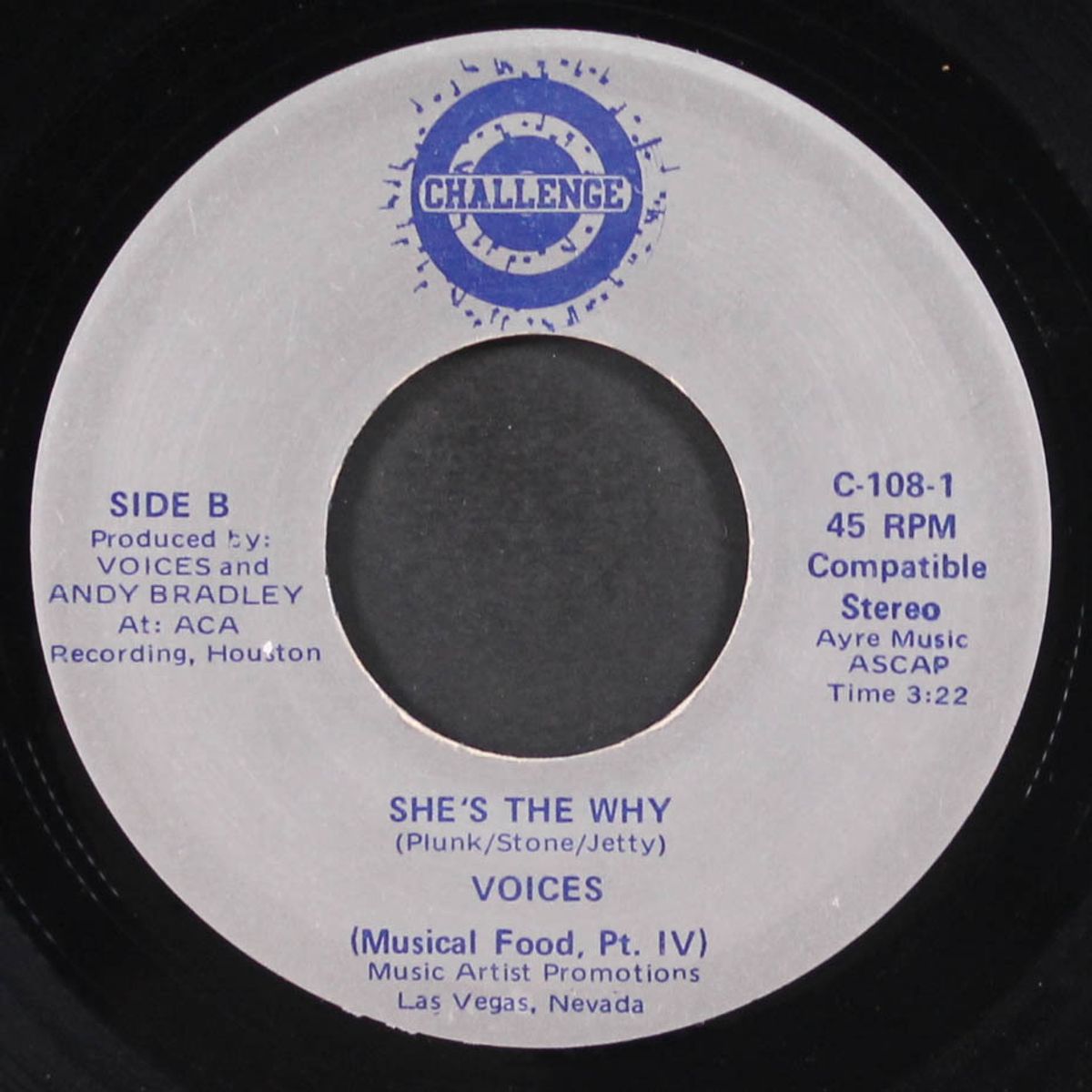 images / she's the why by VOICES