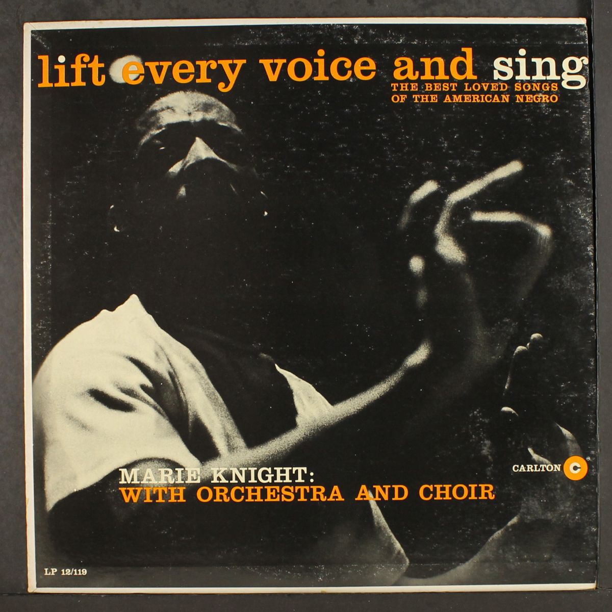 lift every voice and sing by MARIE KNIGHT