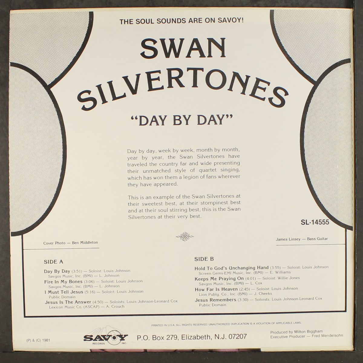 day by day by SWAN SILVERTONES