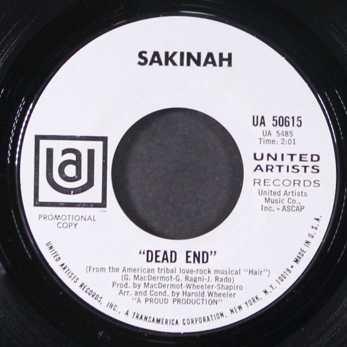 dead end / spring in december by SAKINAH