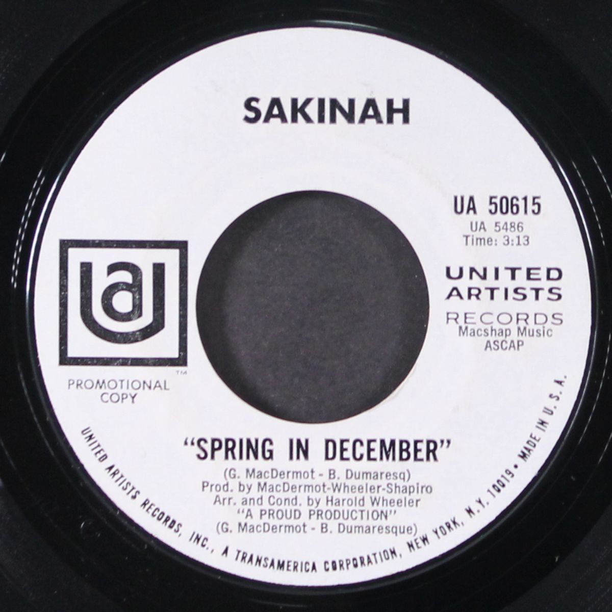 dead end / spring in december by SAKINAH