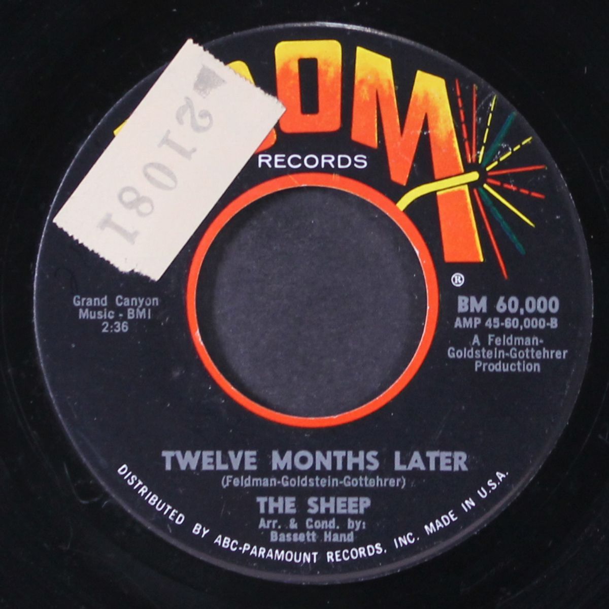 hide & seek / twelve months later by SHEEP