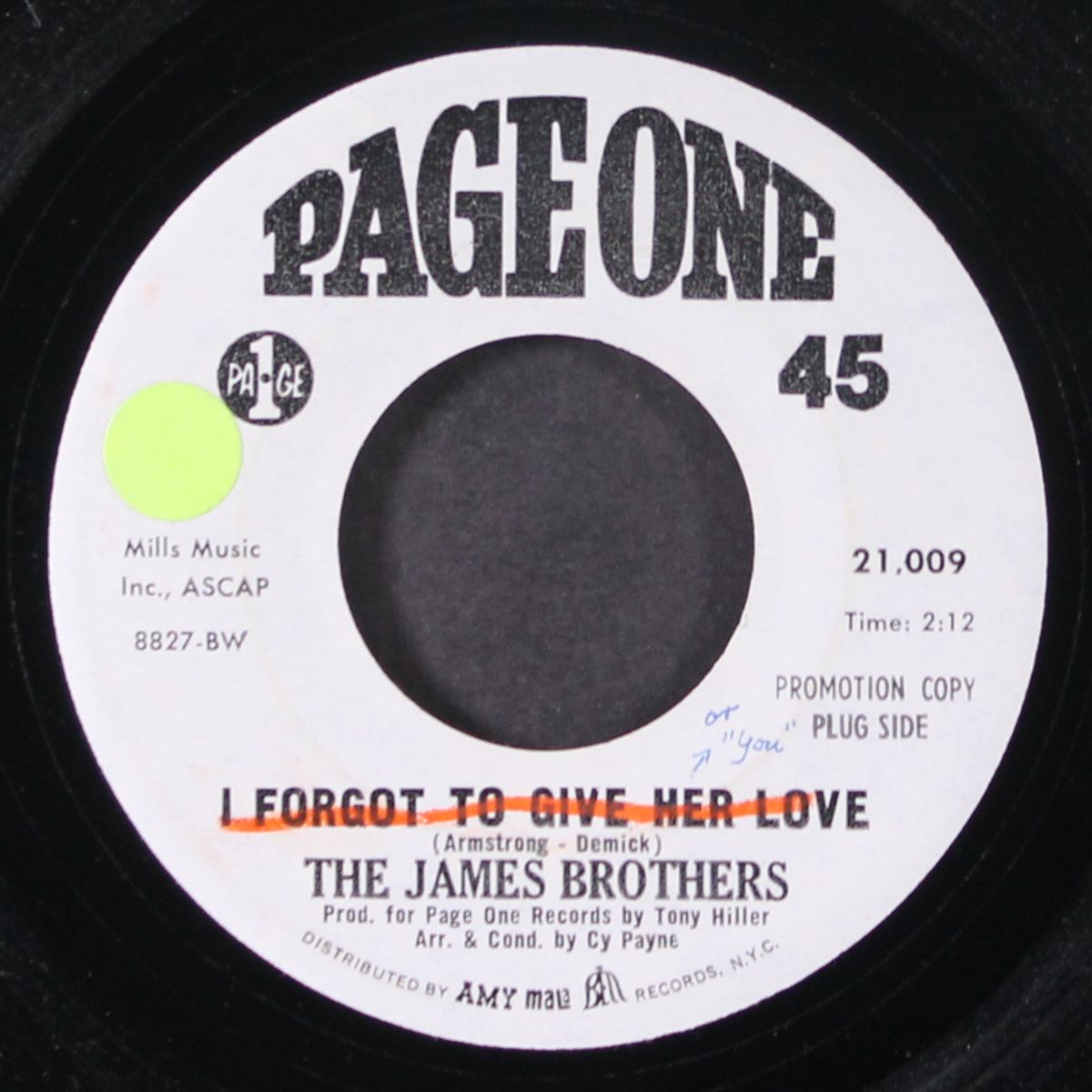 i forgot to give her love by JAMES BROTHERS