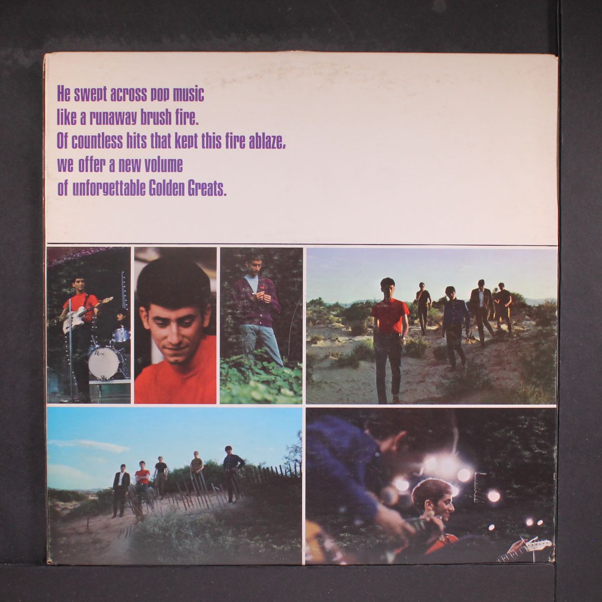 more golden greats by GARY LEWIS & PLAYBOYS