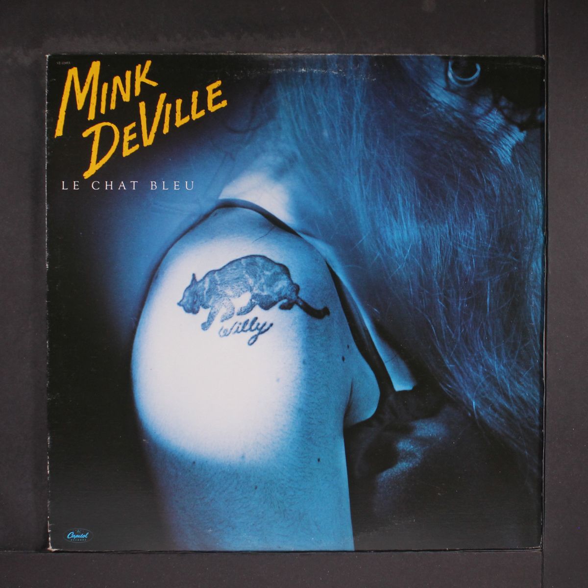 le chat bleu by MINK DEVILLE