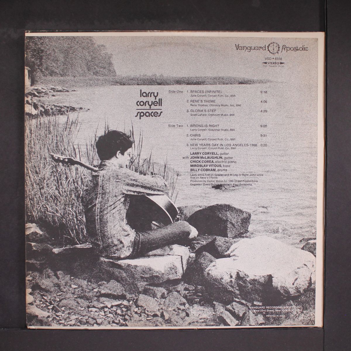 spaces by LARRY CORYELL