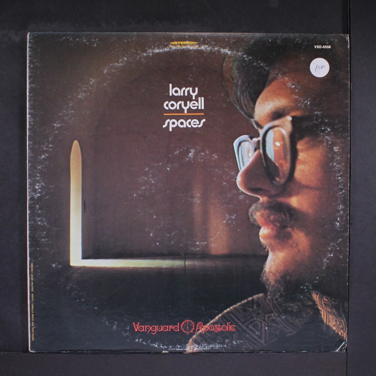 spaces by LARRY CORYELL