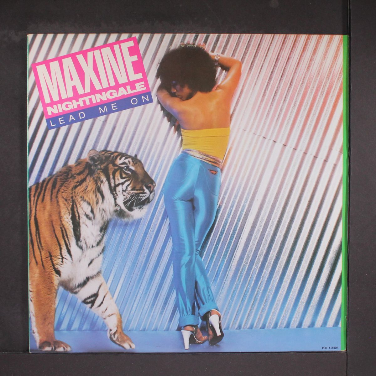 lead me on by MAXINE NIGHTINGALE