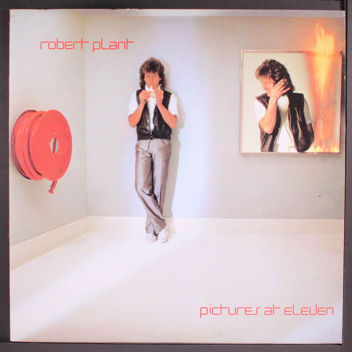 pictures at eleven by ROBERT PLANT
