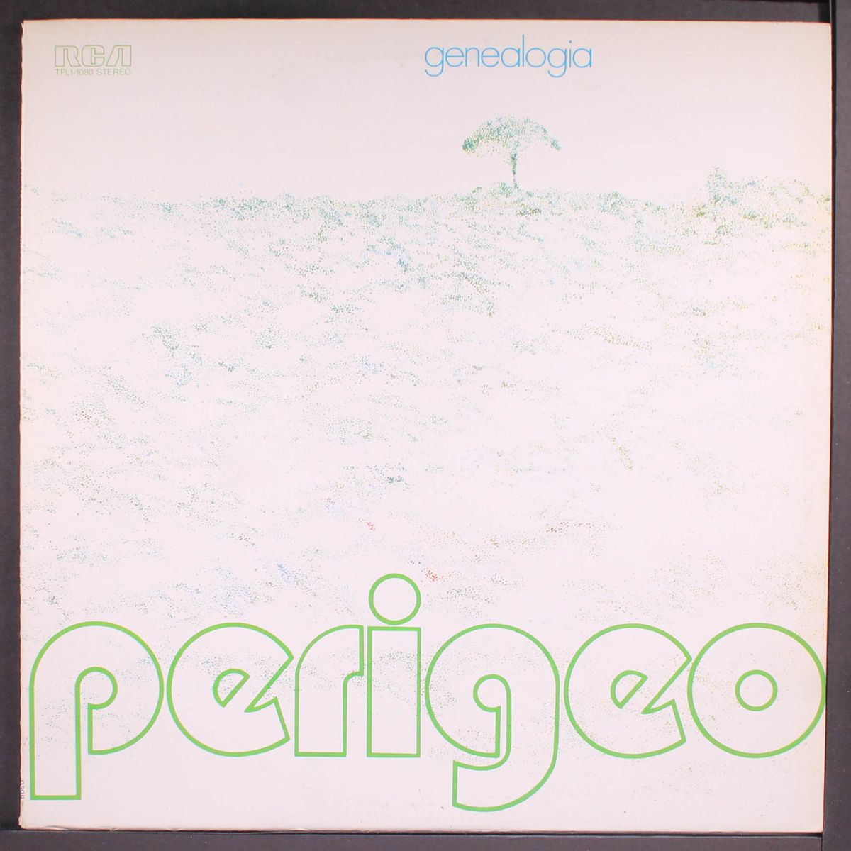 genealogia by PERIGEO