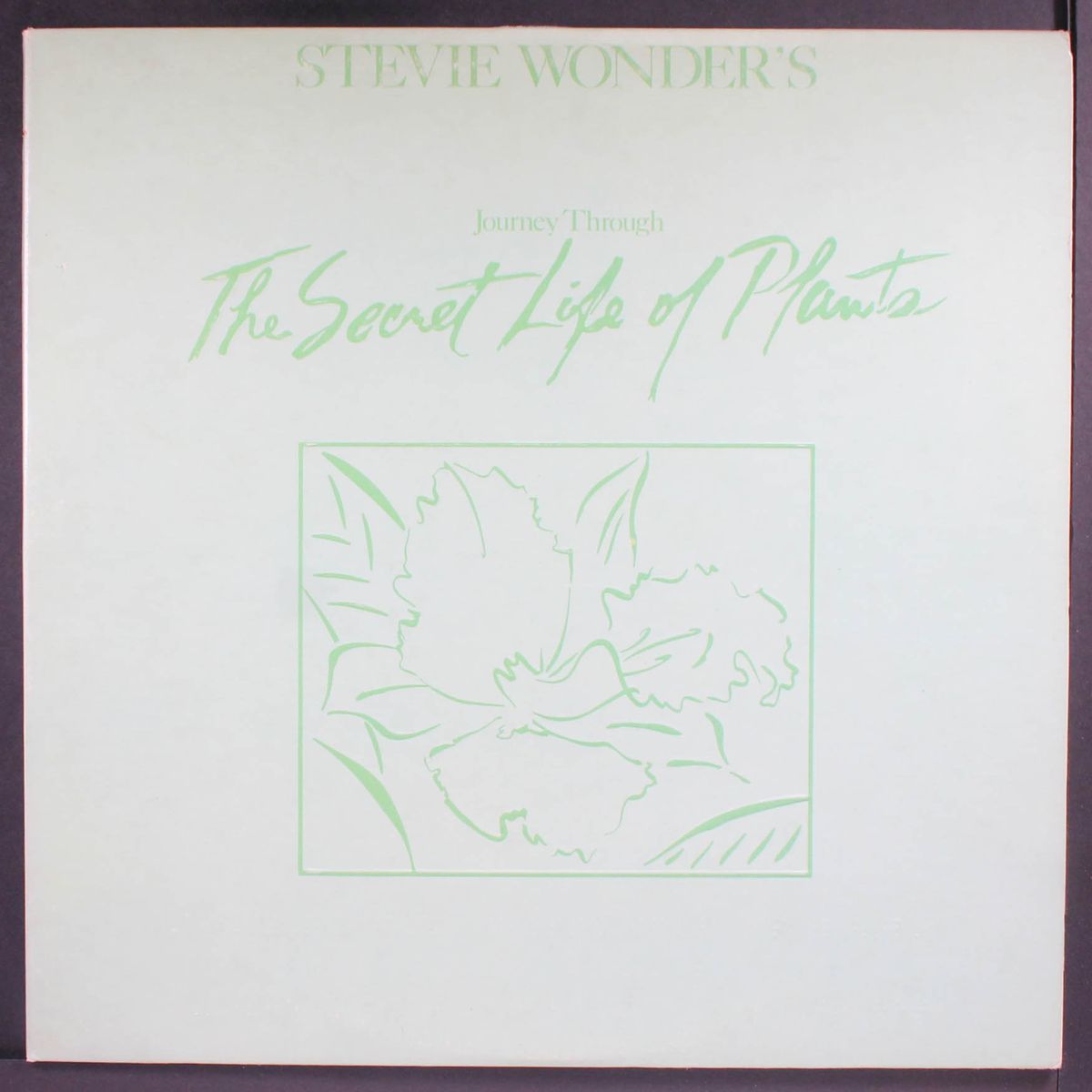 the secret life of plants by STEVIE WONDER