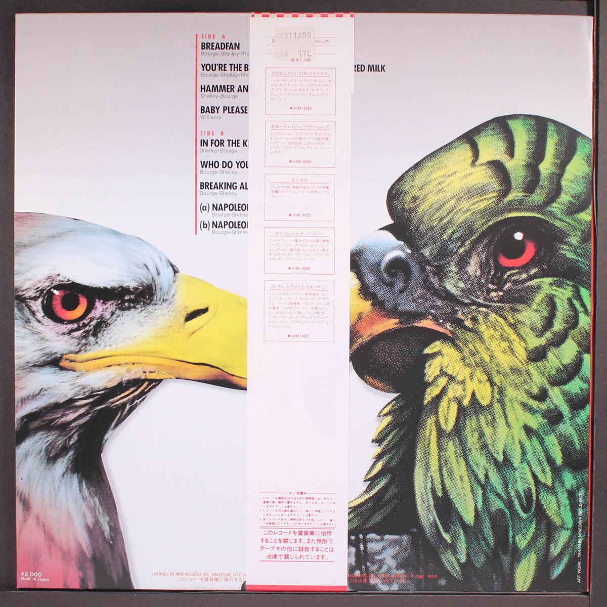 budgie by BUDGIE