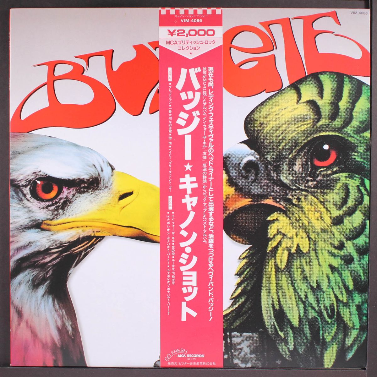 budgie by BUDGIE