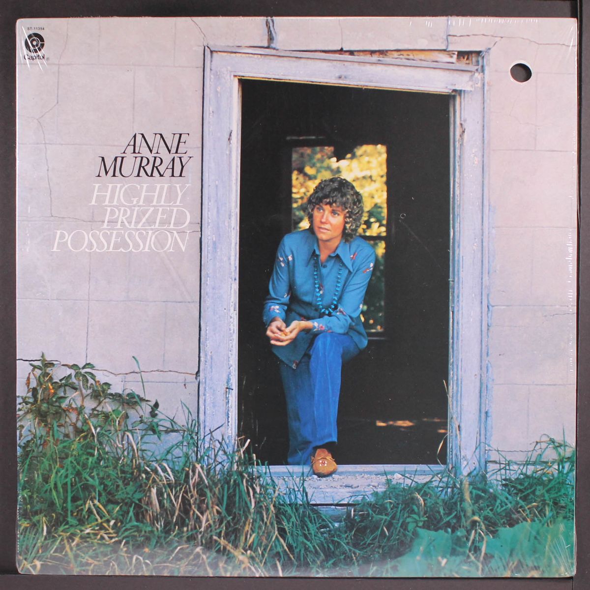 highly prized possession by ANNE MURRAY