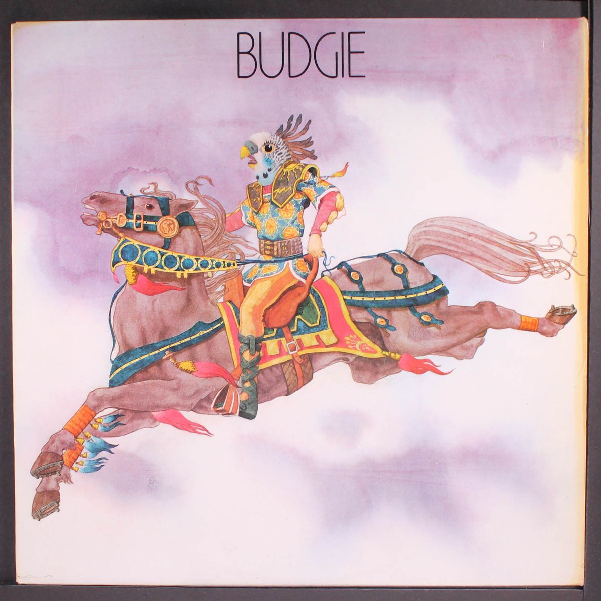 budgie by BUDGIE