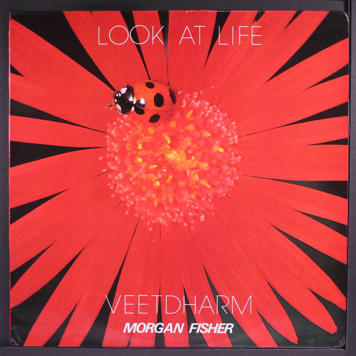 look at life by VEETDHARM MORGAN FISHER