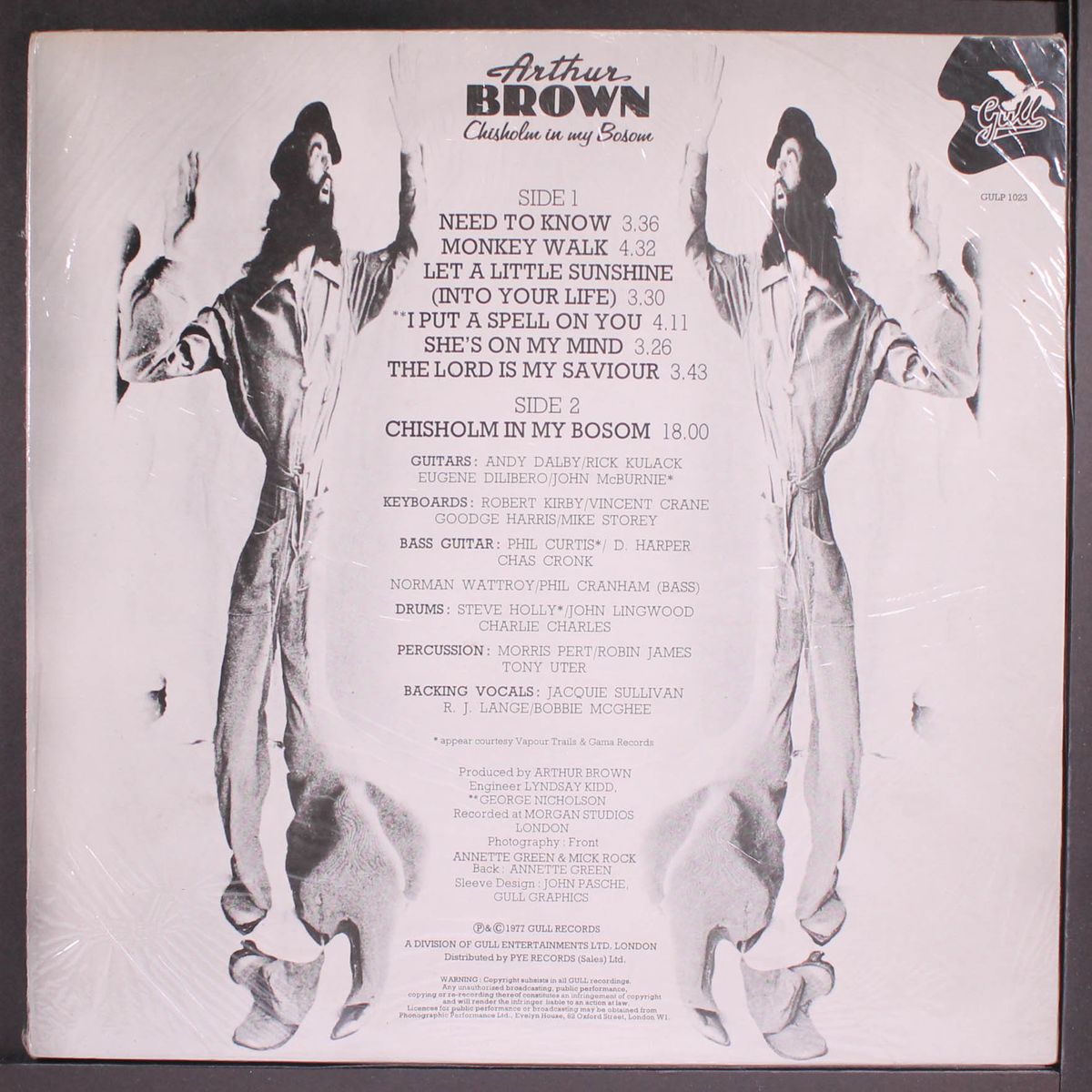 chisholm in my bosom by ARTHUR BROWN