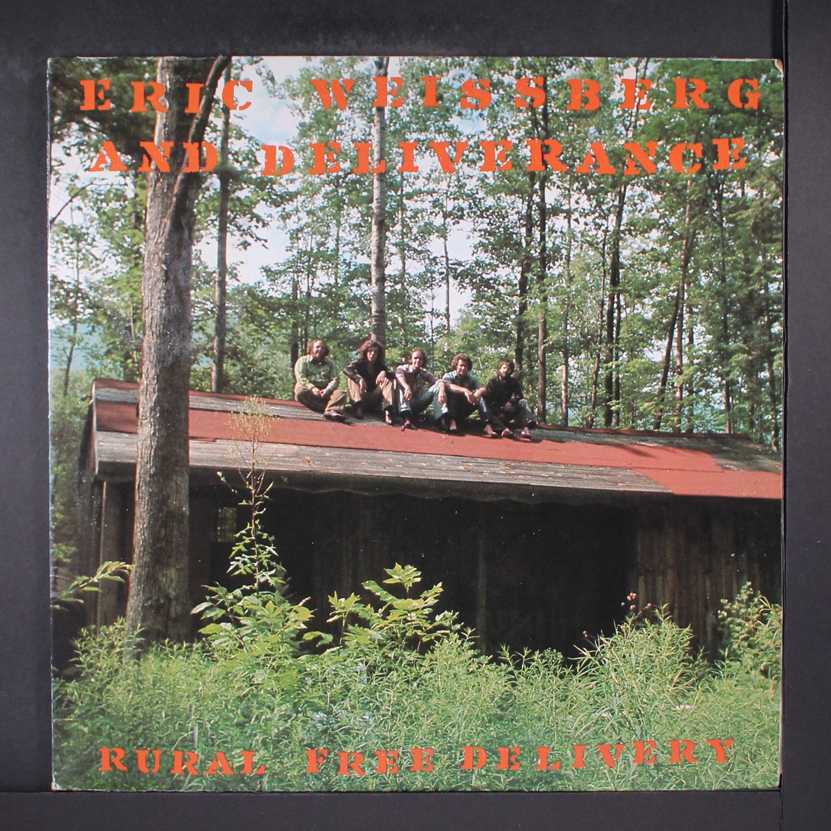 rural free delivery by ERIC WEISSBERG & DELIVERANCE