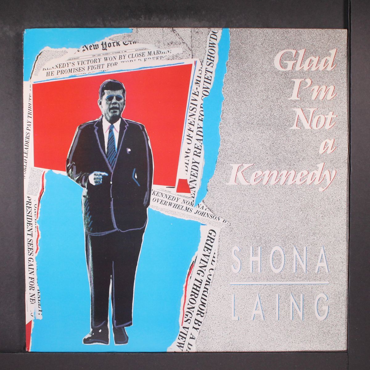 glad i'm not a kennedy by SHONA LAING