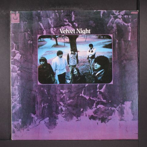 VELVET NIGHT