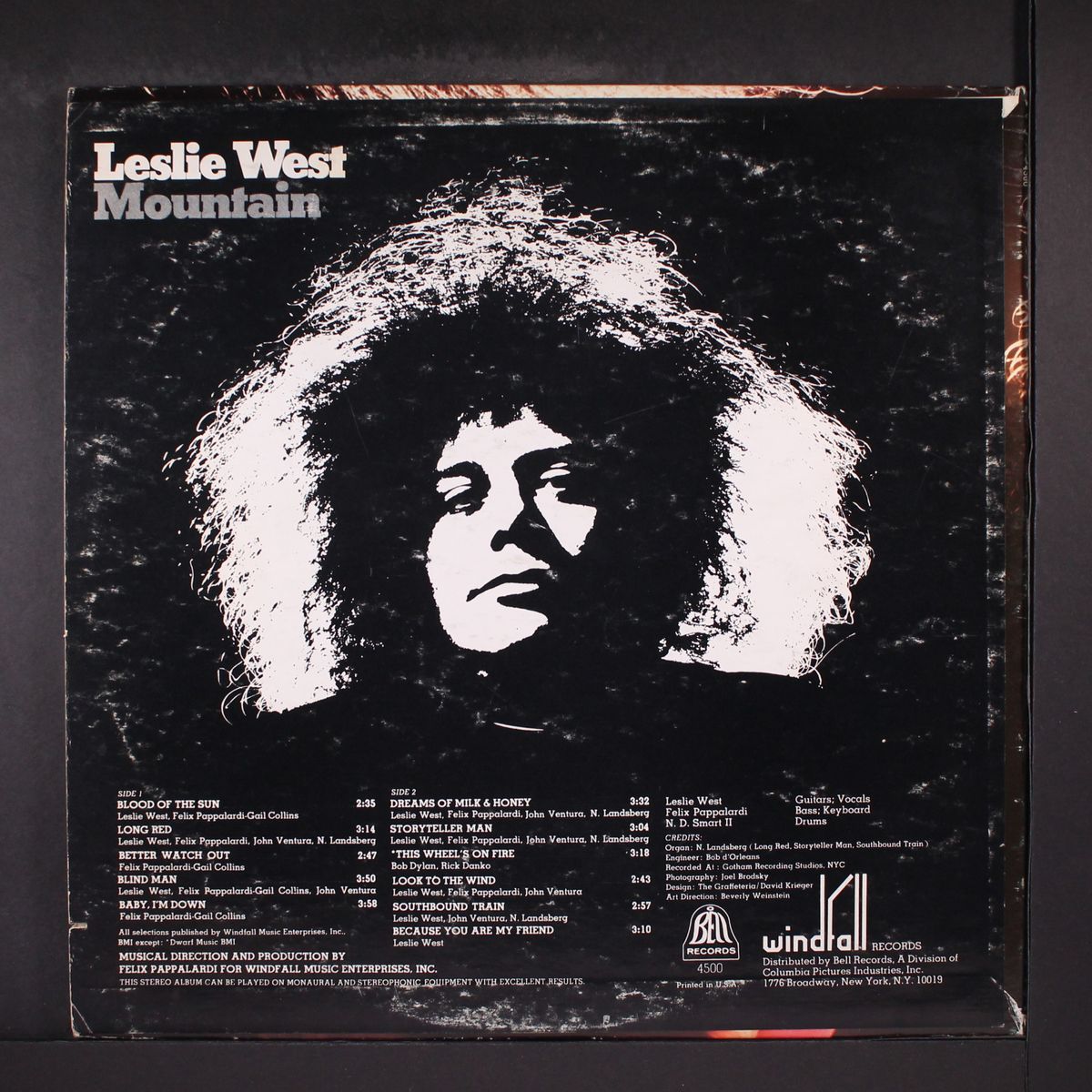 mountain by LESLIE WEST